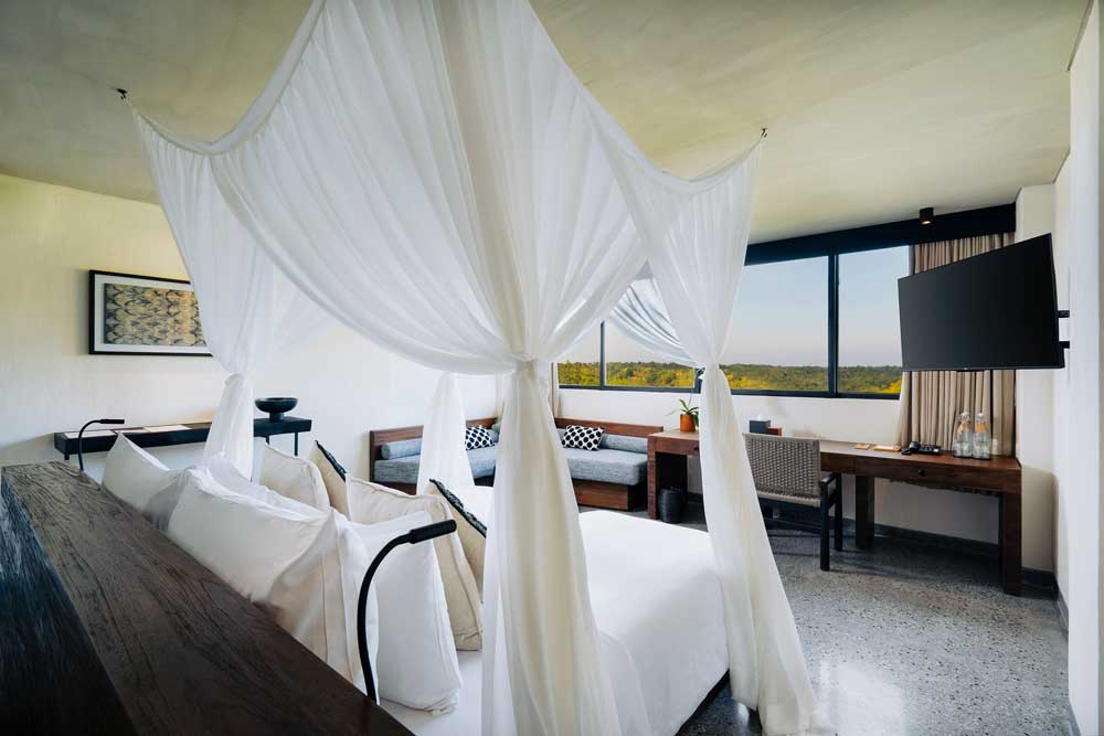 Deluxe Room with Valley View